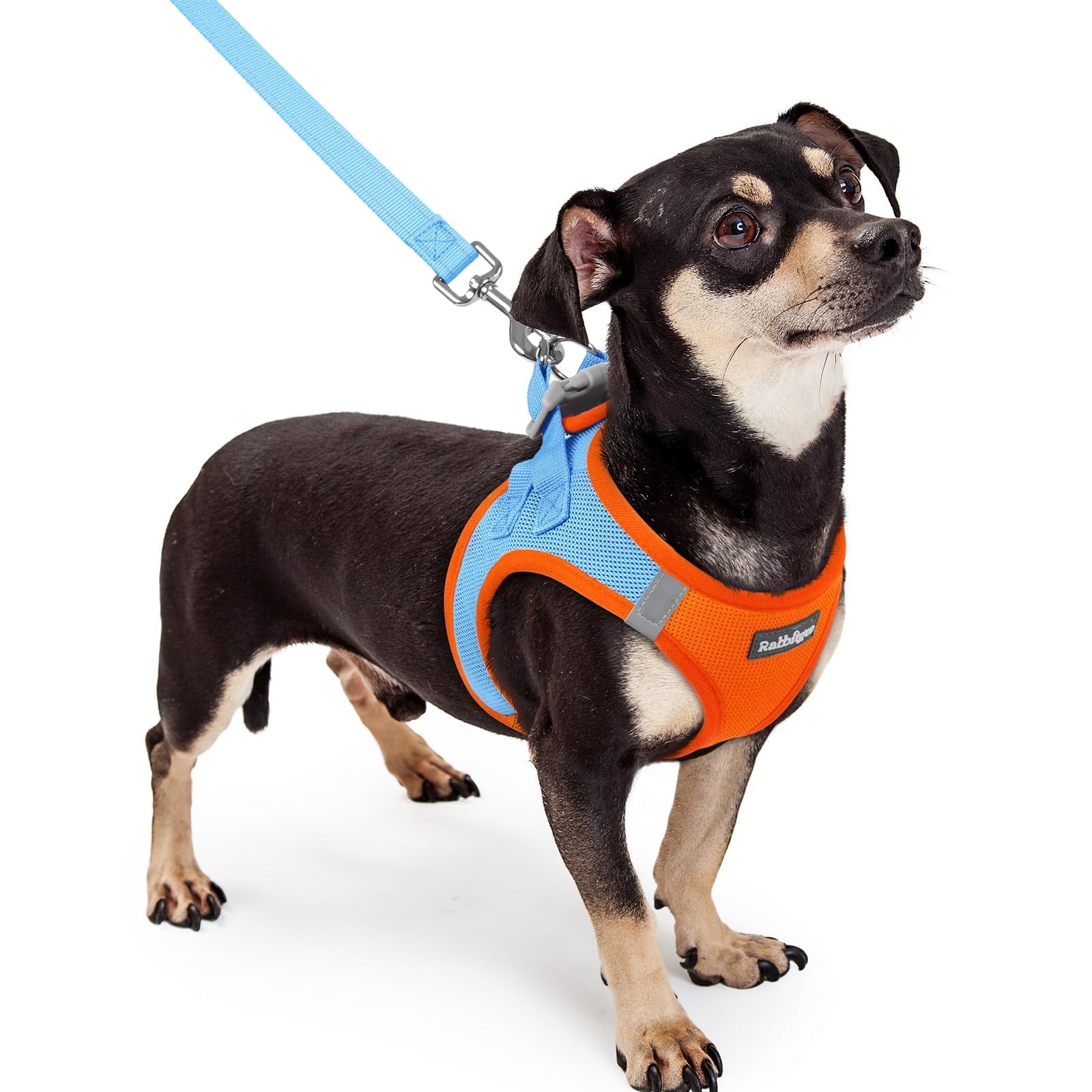 Soft Mesh Dog Harness and Leash Set Reflective Lightweight