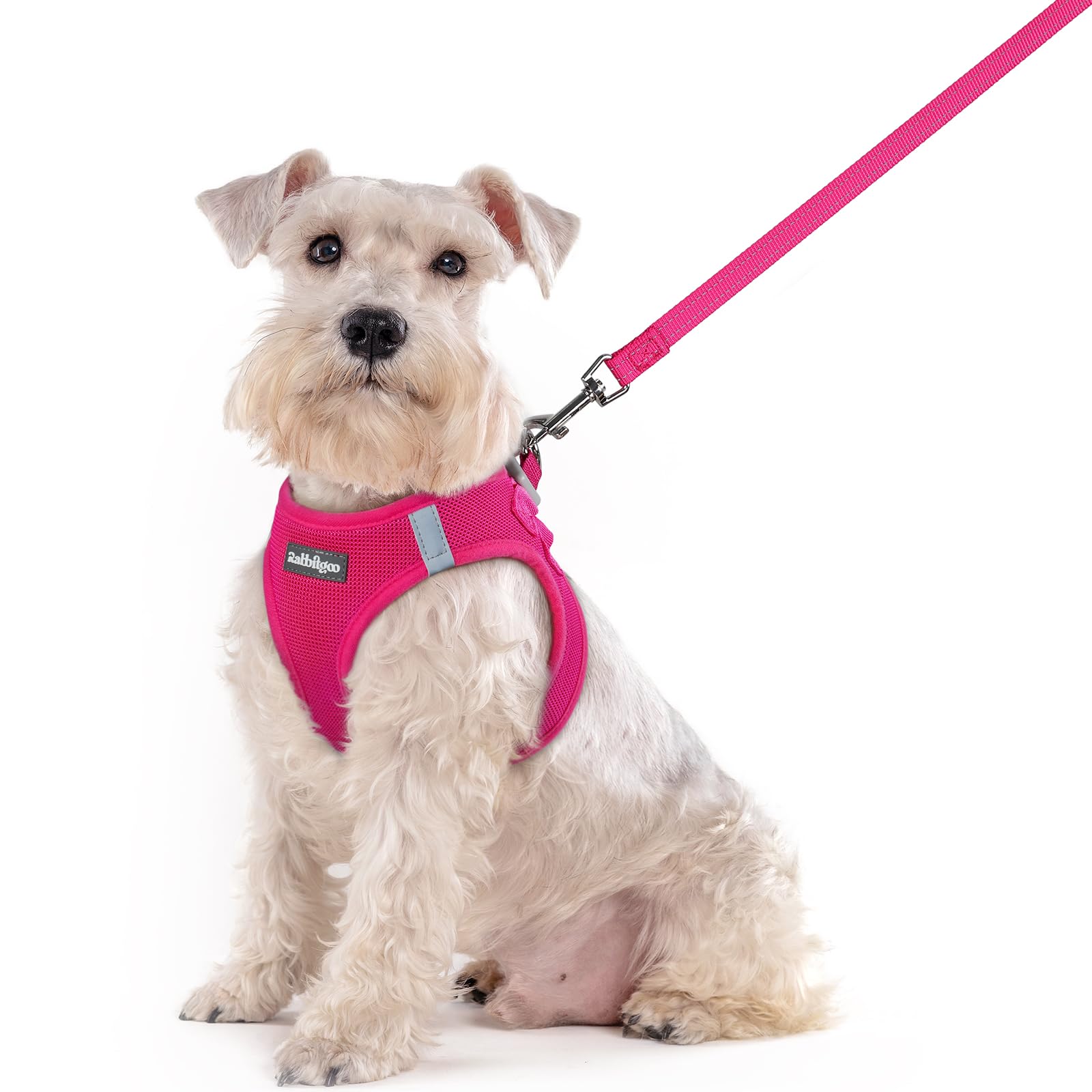 Soft Mesh Dog Harness and Leash Set Reflective Lightweight