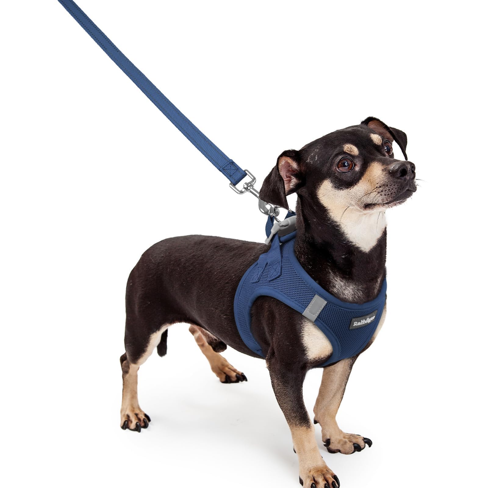 Soft Mesh Dog Harness and Leash Set Reflective Lightweight