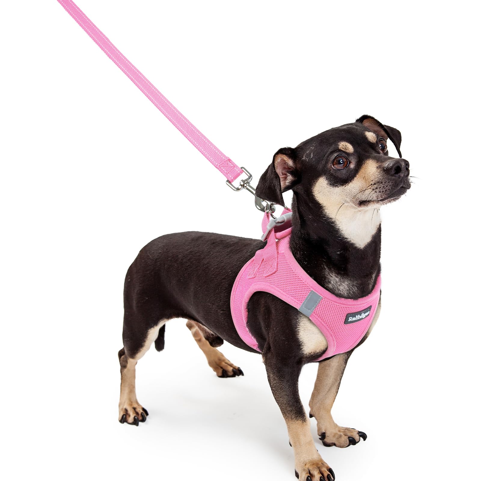 Soft Mesh Dog Harness and Leash Set Reflective Lightweight