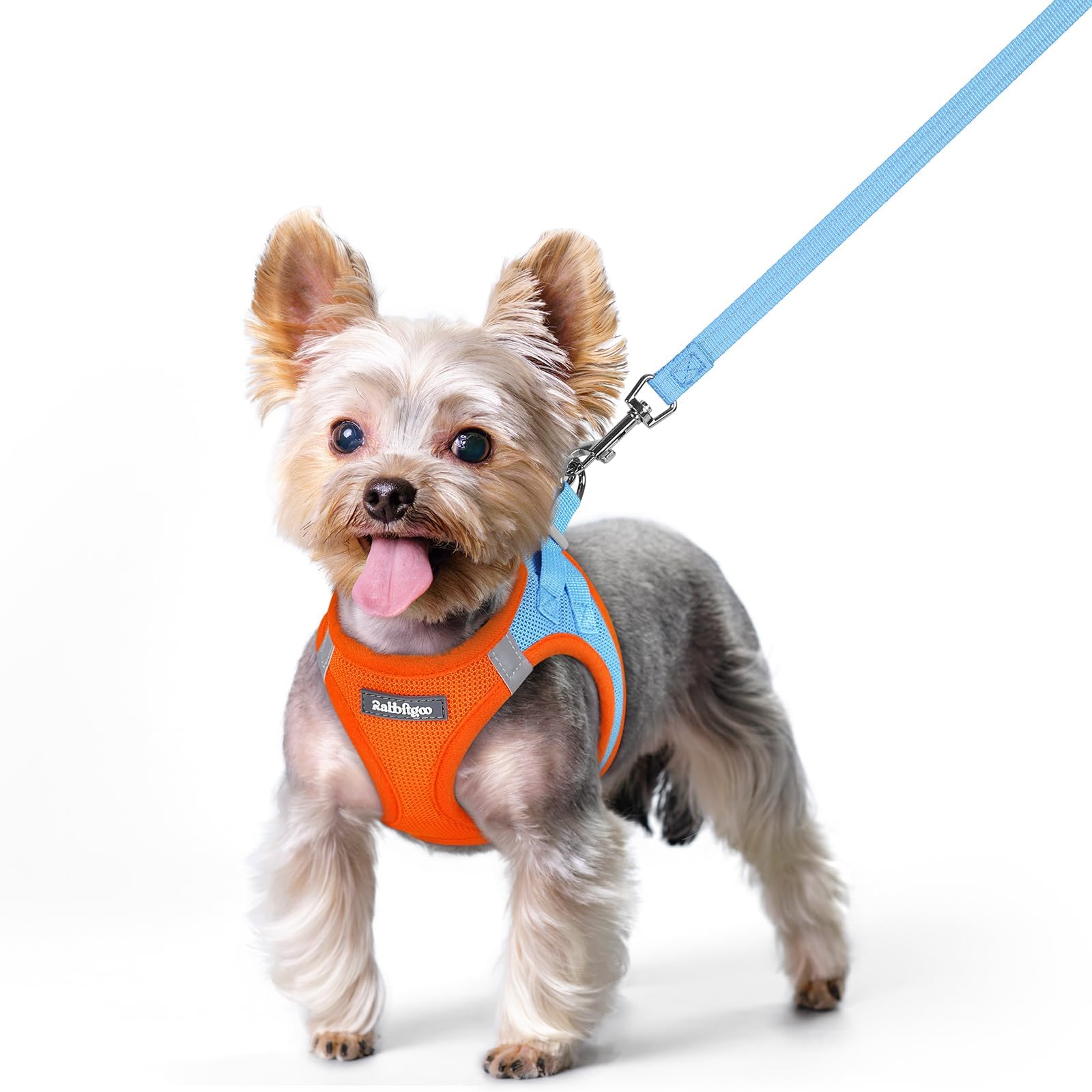 Soft Mesh Dog Harness and Leash Set Reflective Lightweight