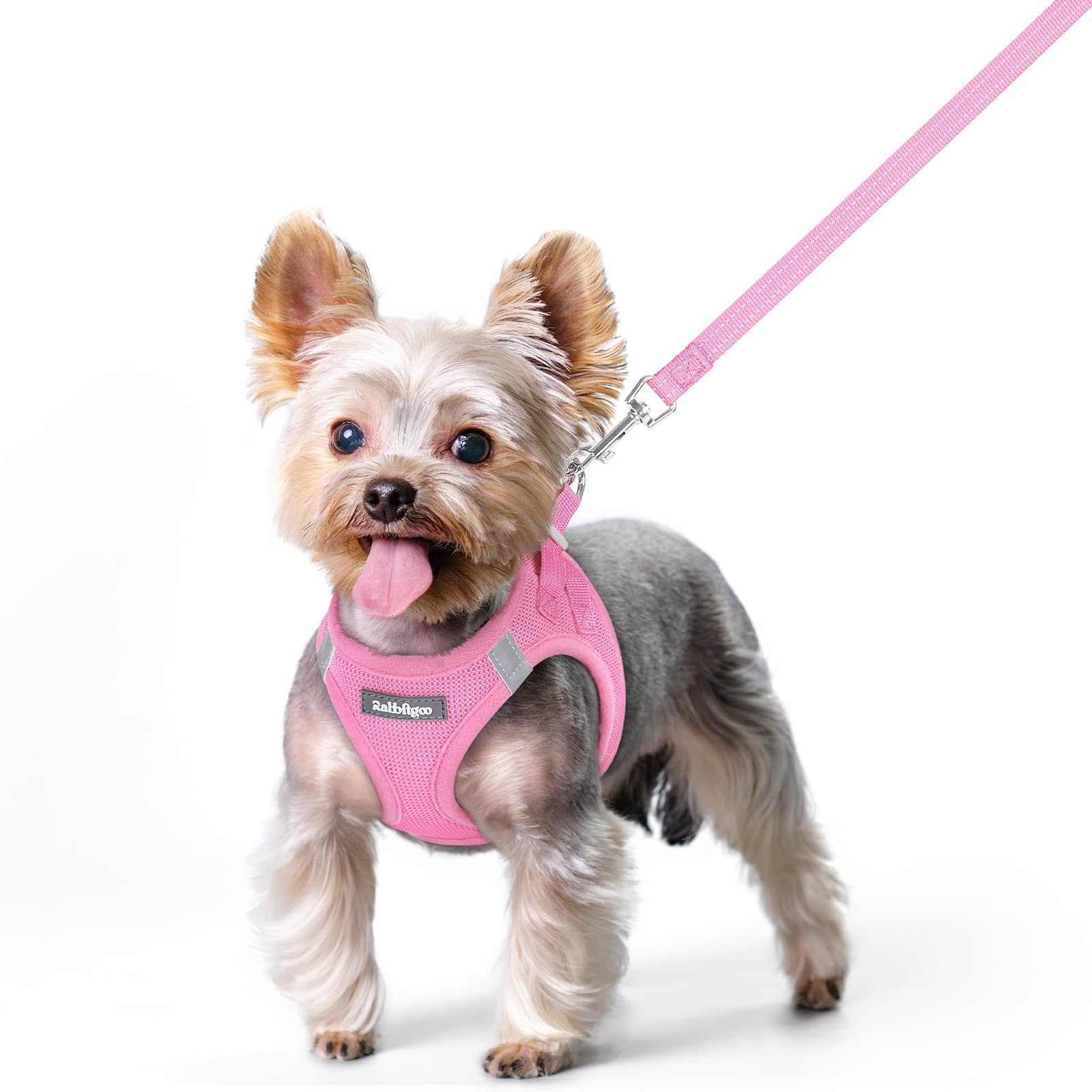 Soft Mesh Dog Harness and Leash Set Reflective Lightweight