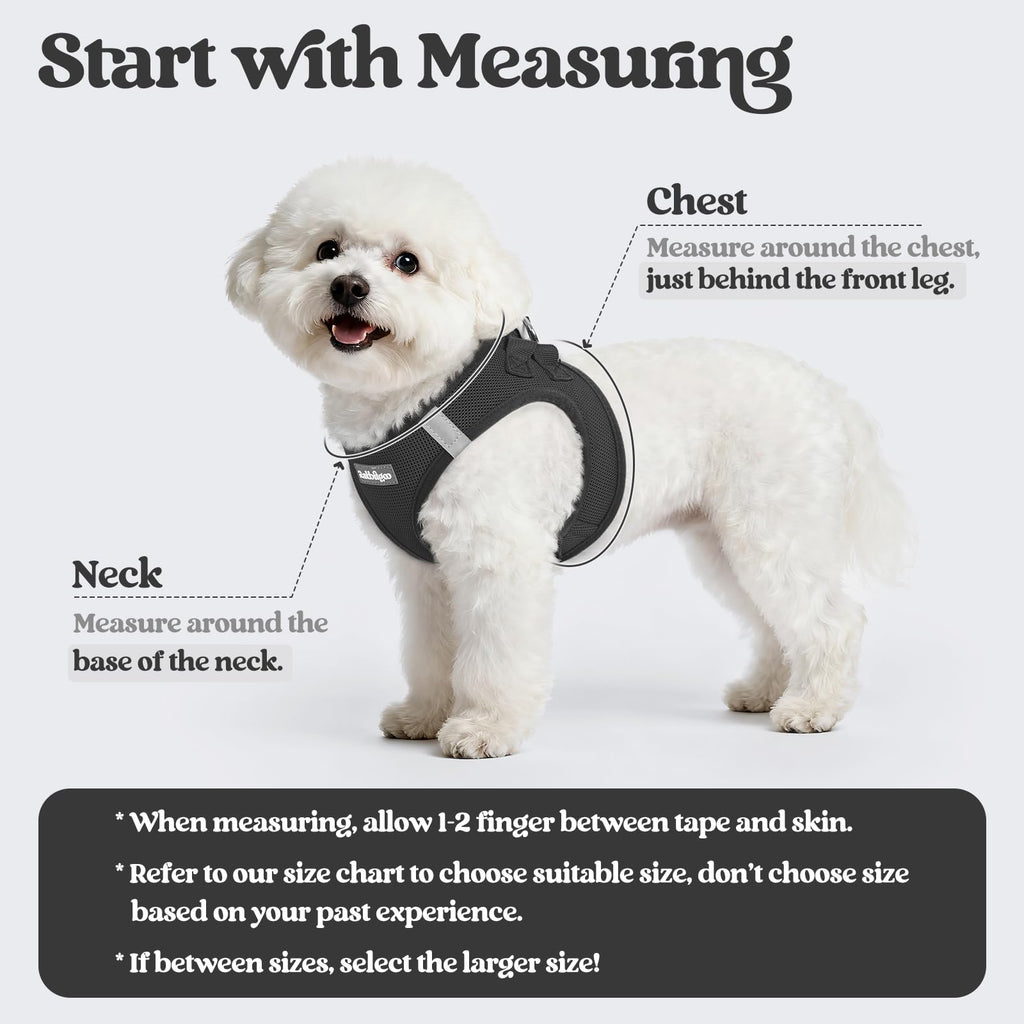 Soft Mesh Dog Harness and Leash Set Reflective Lightweight