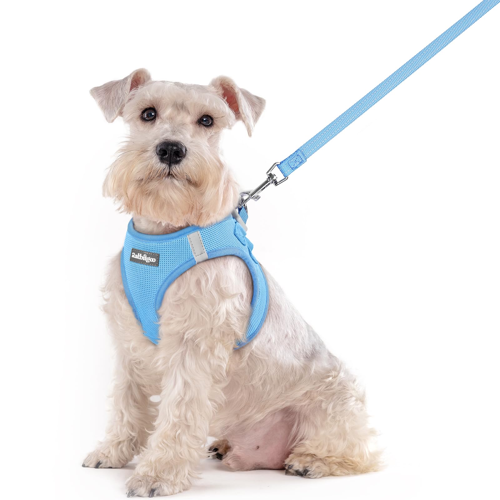 Soft Mesh Dog Harness and Leash Set Reflective Lightweight