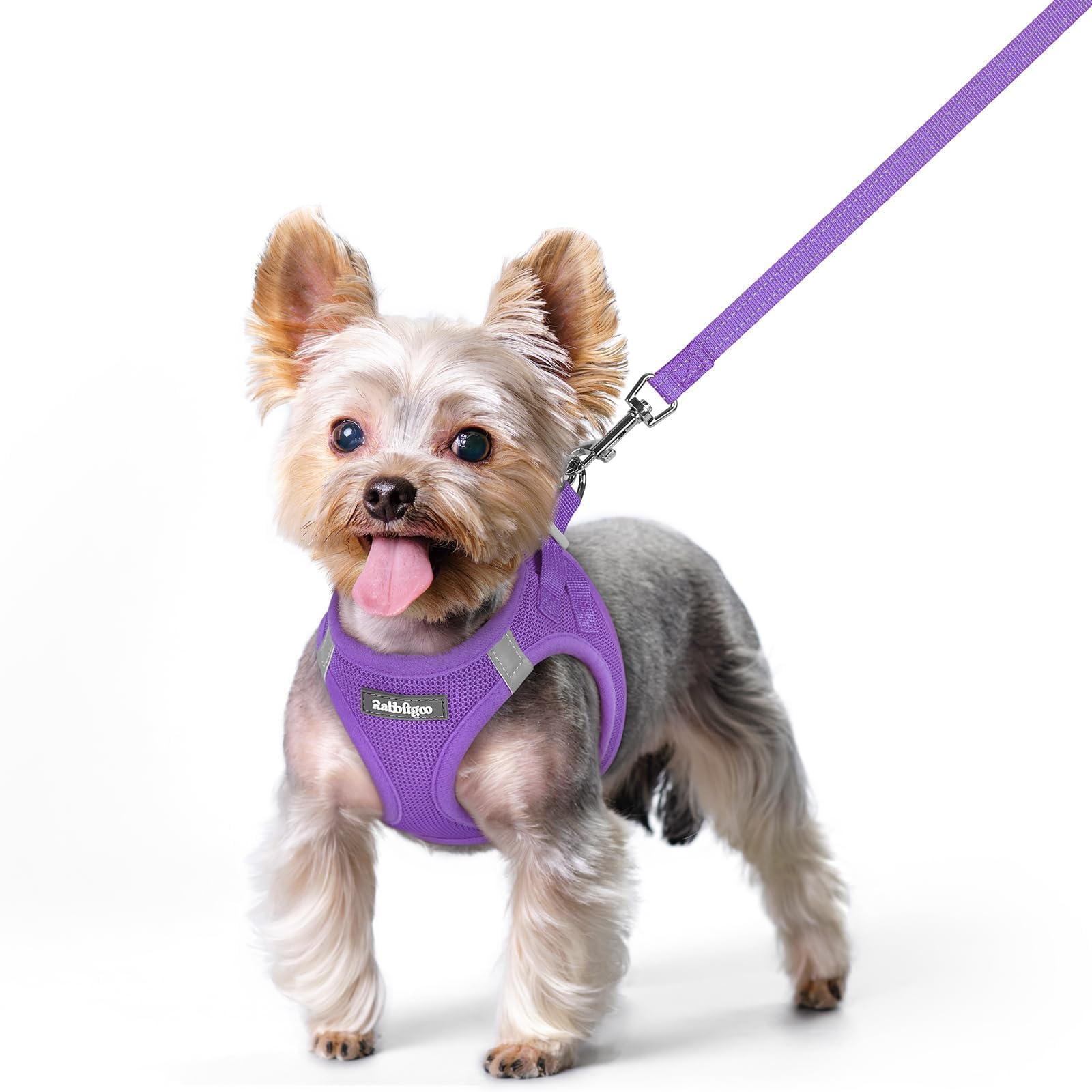 Soft Mesh Dog Harness and Leash Set Reflective Lightweight
