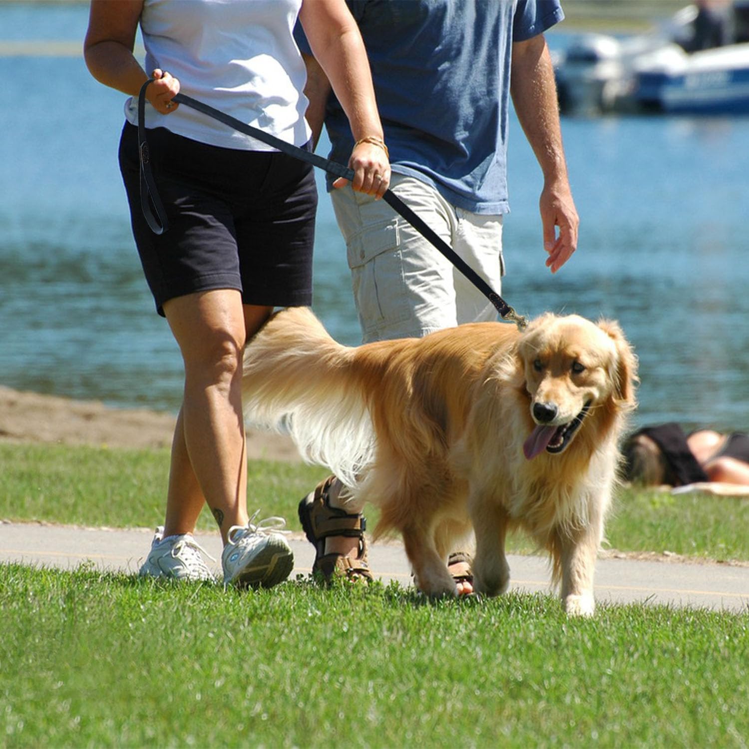 Leather Dog Leash Soft Strong Heavy Duty 5ft 6ft