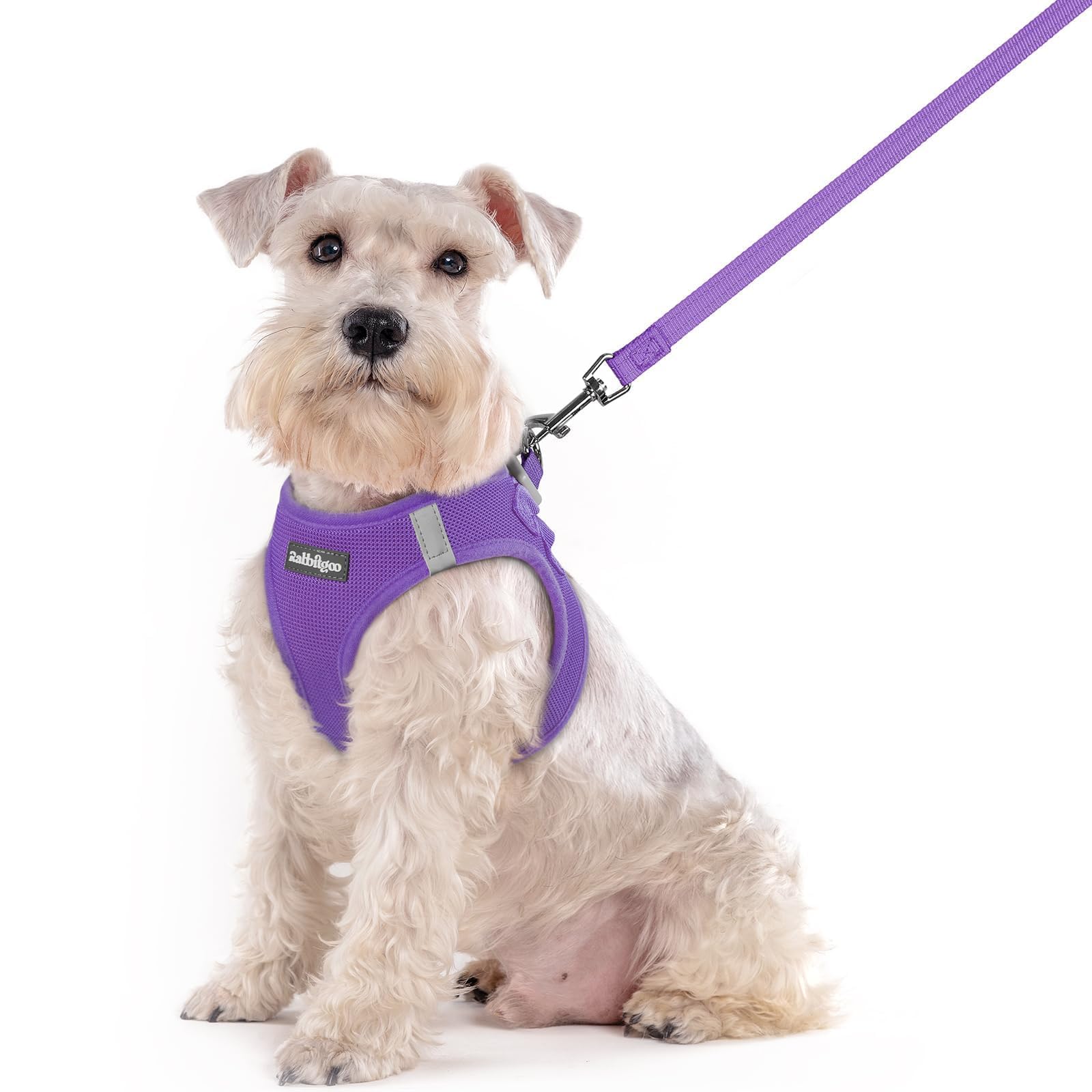 Soft Mesh Dog Harness and Leash Set Reflective Lightweight