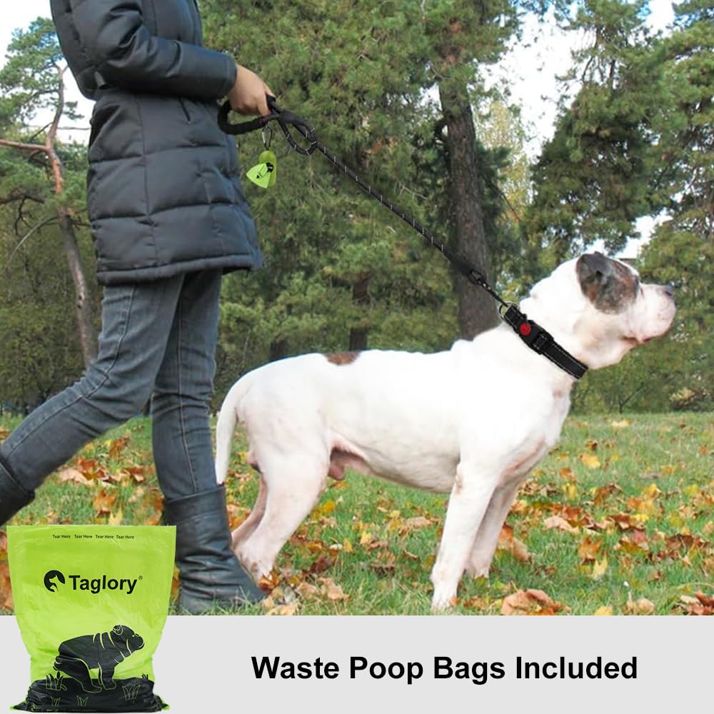 Rope Dog Leash Reflective Threads Padded Handle Durable