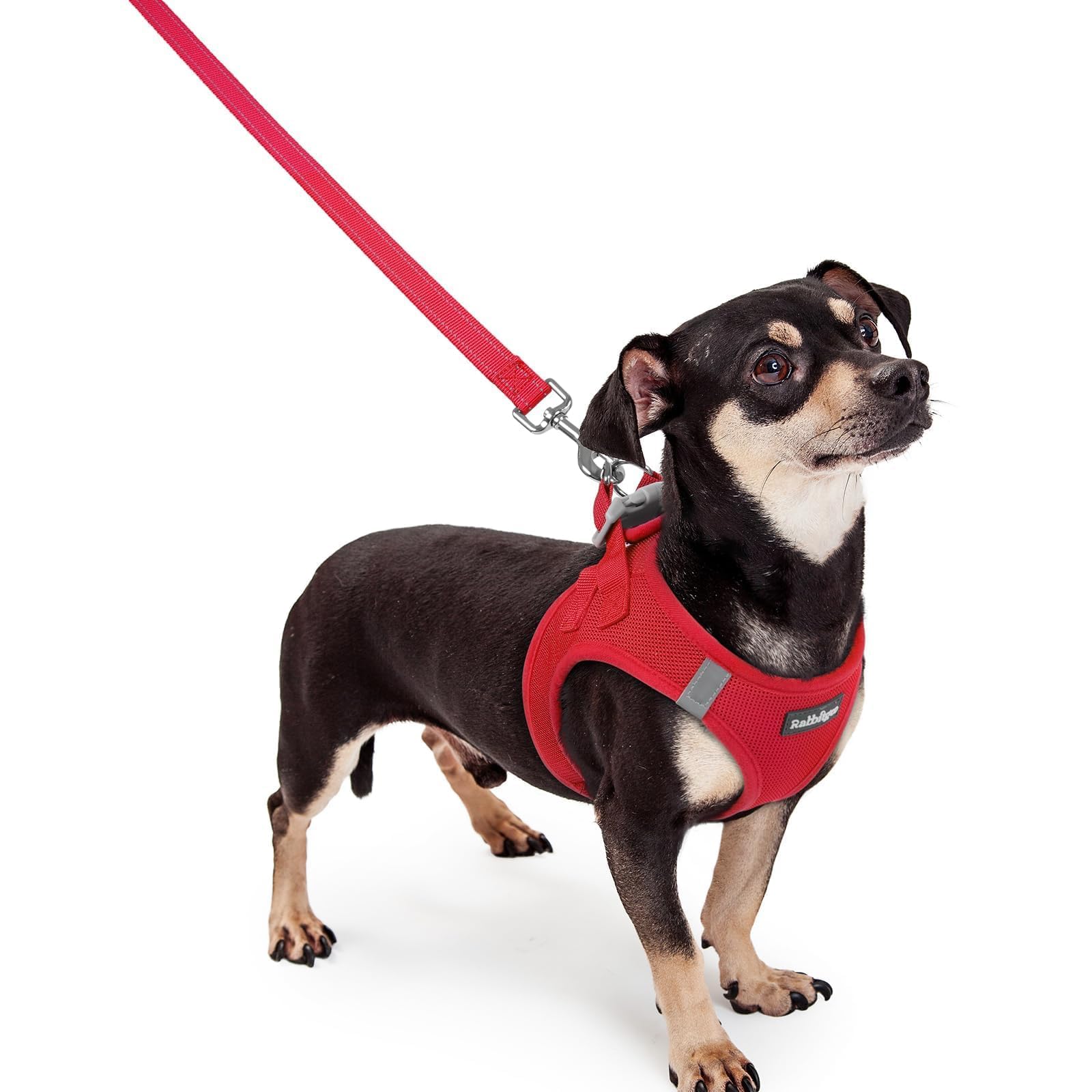 Soft Mesh Dog Harness and Leash Set Reflective Lightweight