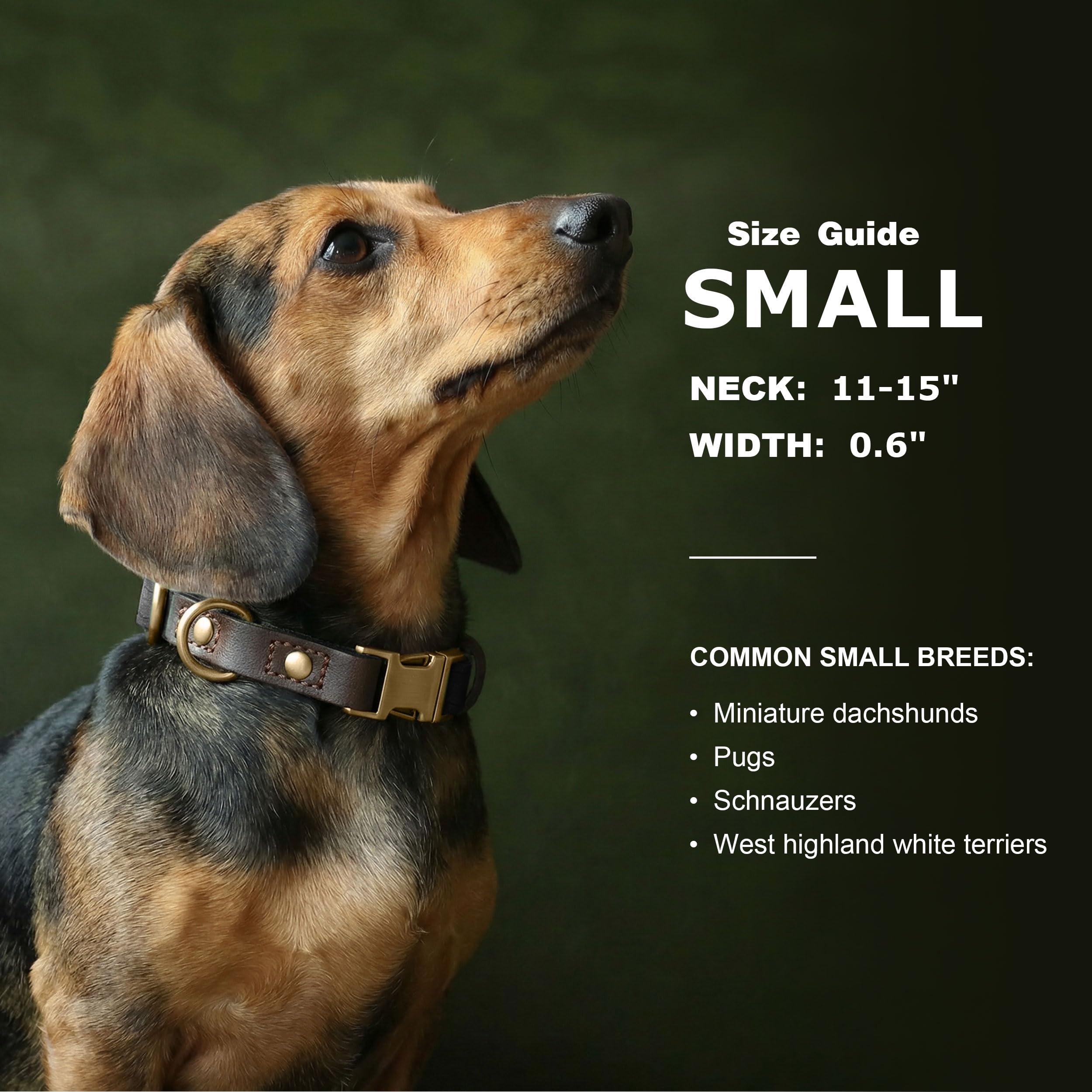 PU Leather Dog Collar Adjustable Soft Lined Quick Release