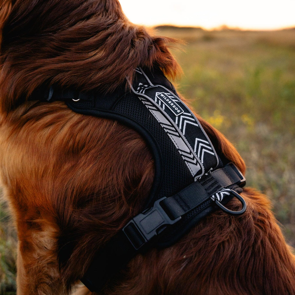 Wilderdog Lightweight Dog Harness with Reflective Straps