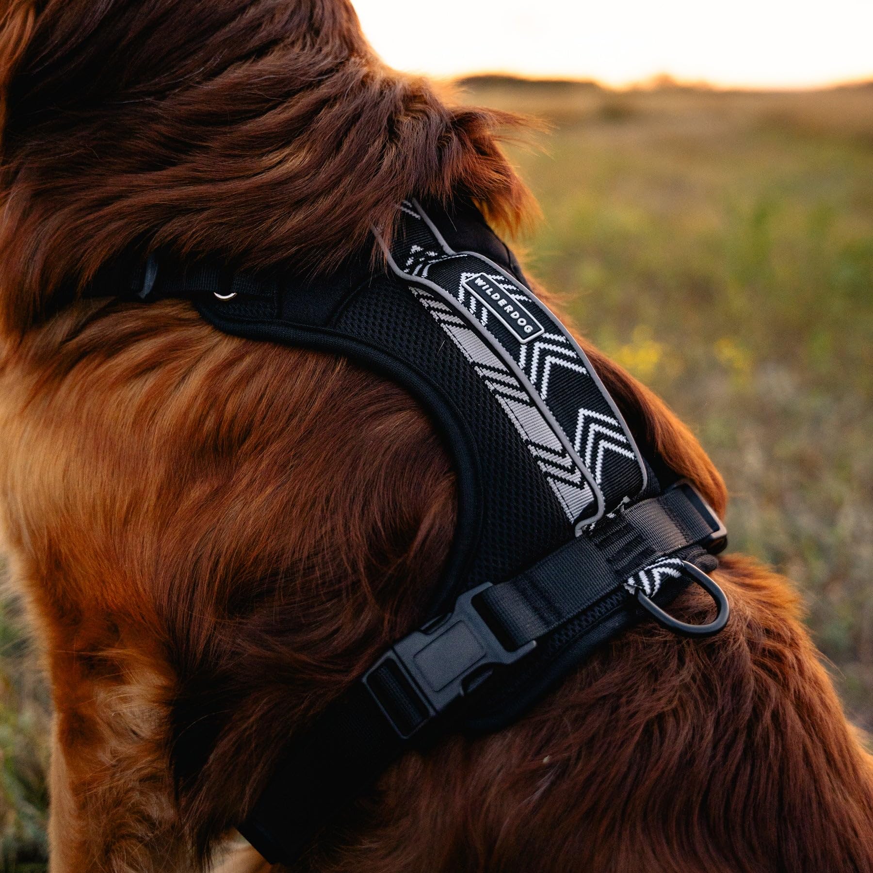Wilderdog Lightweight Dog Harness with Reflective Straps